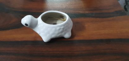 Ceramic Planters| Ceramic Flower Pots| Succulent Plant Pots-P5 Miniatures MIX (MOQ 24pcs) - Image 6
