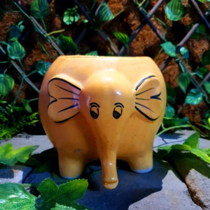 indian royal crafts planters ceramic pots for plants indoor planters ceramic pots manufacturer brahmz planters flower pots