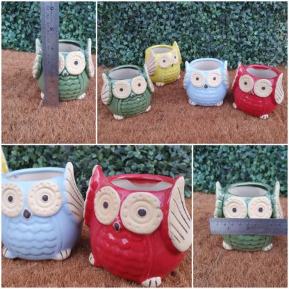 Ceramic Planters - Owl Fancy - (MOQ - 18pcs)