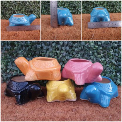 Ceramic Planter Small Tortoise - MOQ 24Pcs