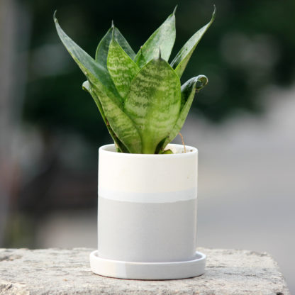 indian royal crafts planters ceramic pots for plants indoor planters ceramic pots manufacturer brahmz planters flower pots