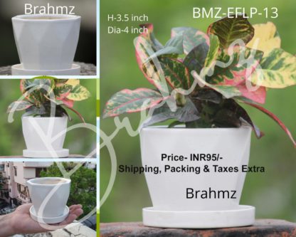 Ceramic Planters| Diamond shape-4 inch