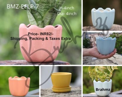 Ceramic Planters| Lotus Top shape-4 inch