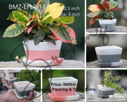Ceramic Planters| Small Square Katori shape-3 inch