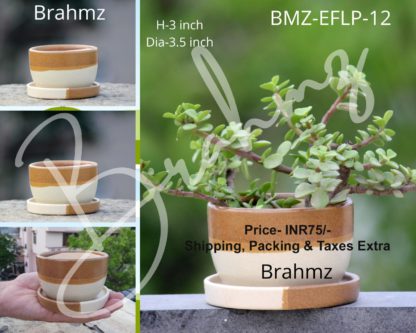 Ceramic Planters| Brown Katori shape-3.5 Inch