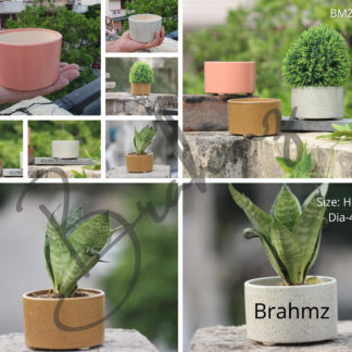 indian royal crafts planters ceramic pots for plants indoor planters ceramic pots manufacturer brahmz planters flower pots