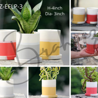 indian royal crafts planters ceramic pots for plants indoor planters ceramic pots manufacturer brahmz planters flower pots