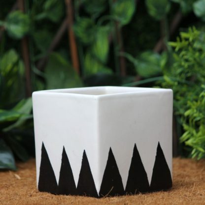 Square 4.5Inch Planter  - Ceramic - MOQ 24 Pc - Image 8