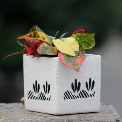 Square 4.5Inch Planter  - Ceramic - MOQ 24 Pc - Image 3