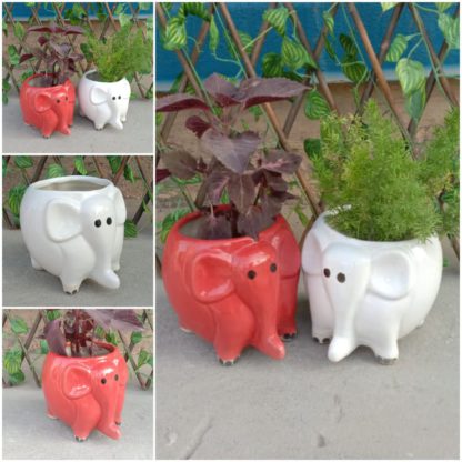 Ceramic Planters| Ceramic Flower Pots| Fatty Small Elephant- -MOQ-12 Pc