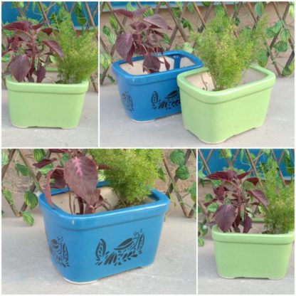 Ceramic Planter Small bonsai Pot-MOQ 24pcs