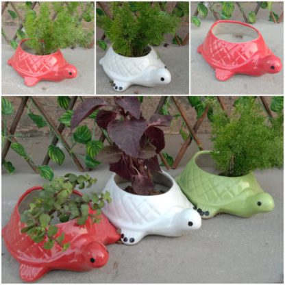 Ceramic Small Tortoise - MOQ - 12Pcs