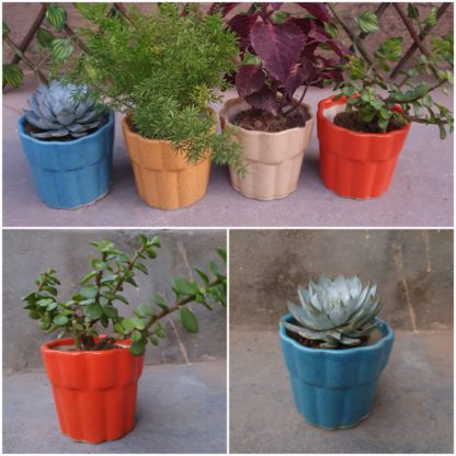 Ceramic Planter Small glass Pot-MOQ 24pcs Size 3x3inch