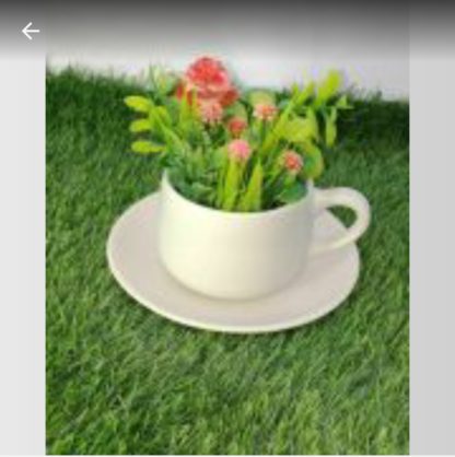 Ceramic Planters| Cup Tea - (MOQPcs)
