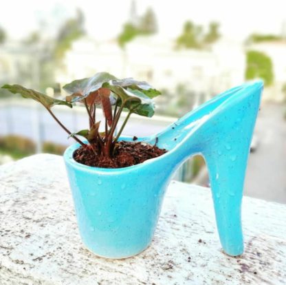 Ceramic Planters| Sandal shape-MOQ-24pcs