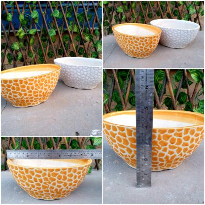 Ceramic Planters| Pine Kashti (4Pc Left)