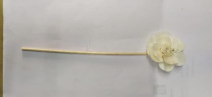 Brahmz Sola Flower Protiya Reed Stick