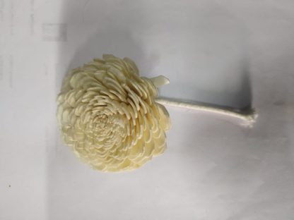 Belly Diffuser Thread Sola Flower22rs