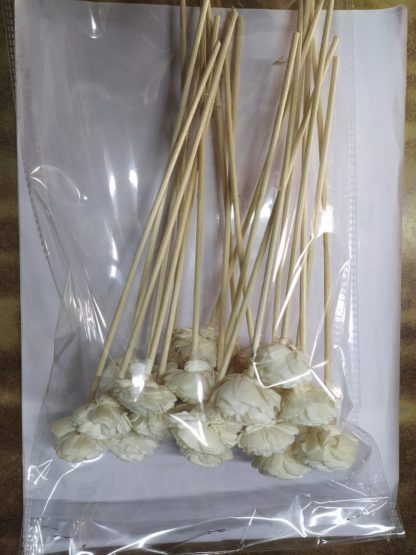 Brahmz 3cm belly reed stick sola flower