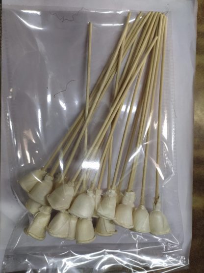 Brahmz 3cm Rose Reed Stick Sola Flower Stick  min 500