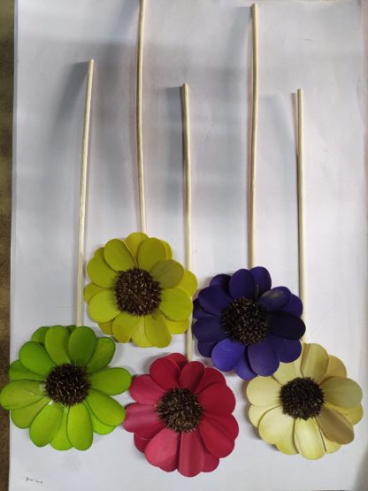 Brahmz Palm Flower Reed Stick Min 500 - Image 2