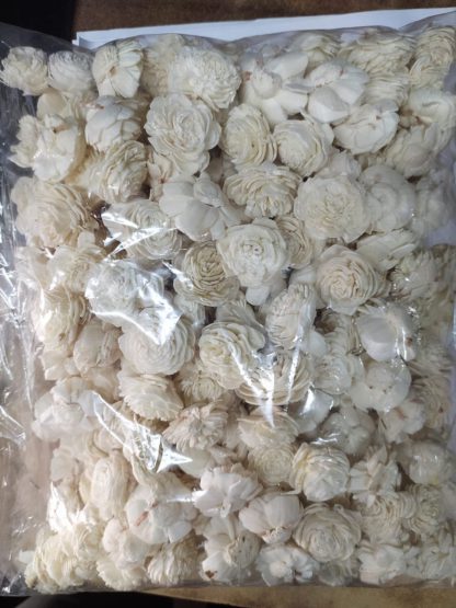 Brahmz Belly Sola Flower min 300 pcs