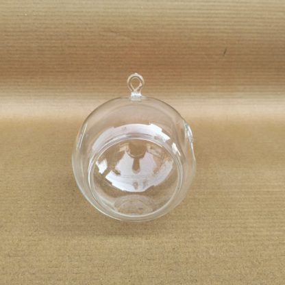 Brahmz Borosil terrarium pot 4in