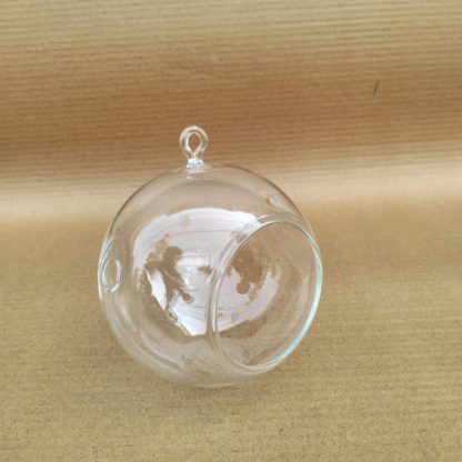 Brahmz Borosil terrarium pot 4in - Image 2